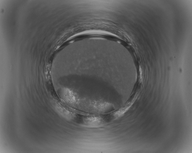 X0000086240237200703291403