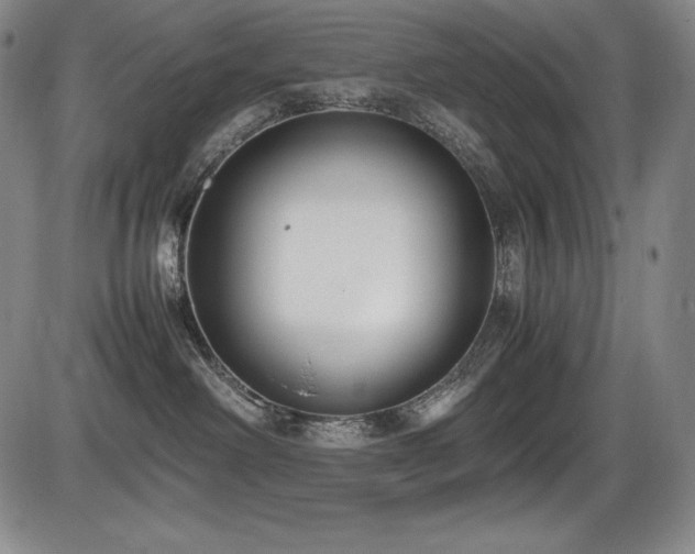 X0000086240238200703291403