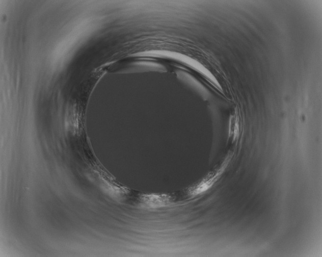 X0000086240239200703291403