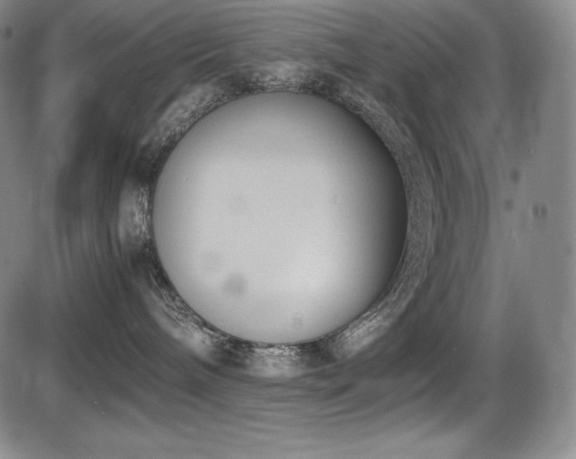 X0000086240240200703291403