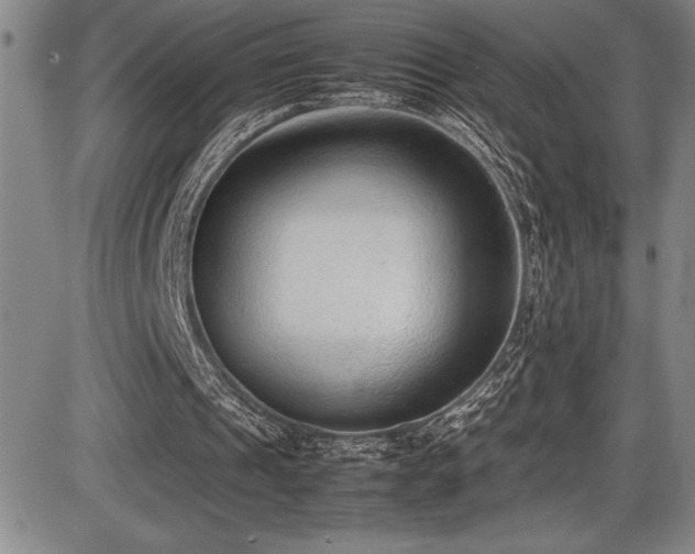 X0000086240241200703291402