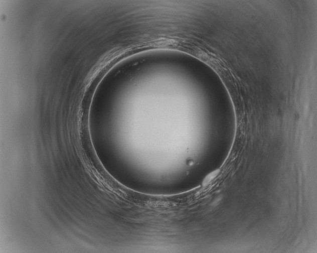 X0000086240242200703291402