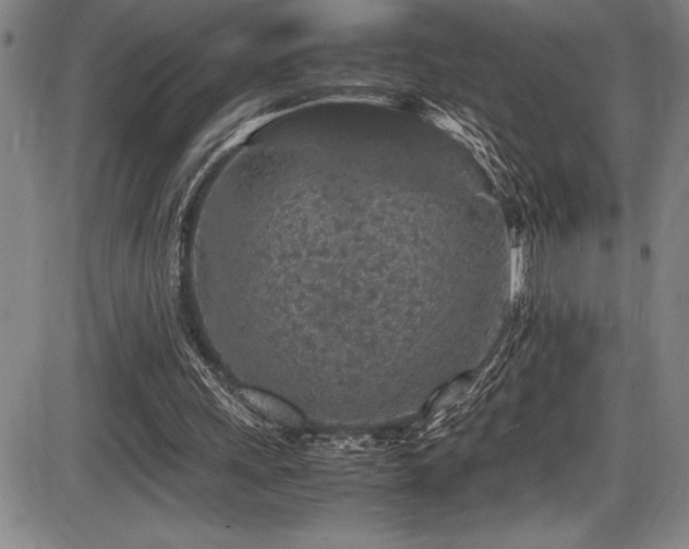X0000086240243200703291402