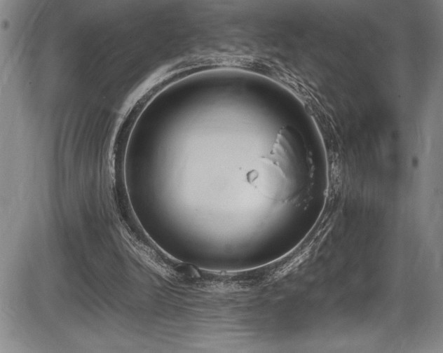 X0000086240246200703291402