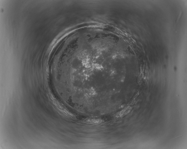 X0000086240247200703291402