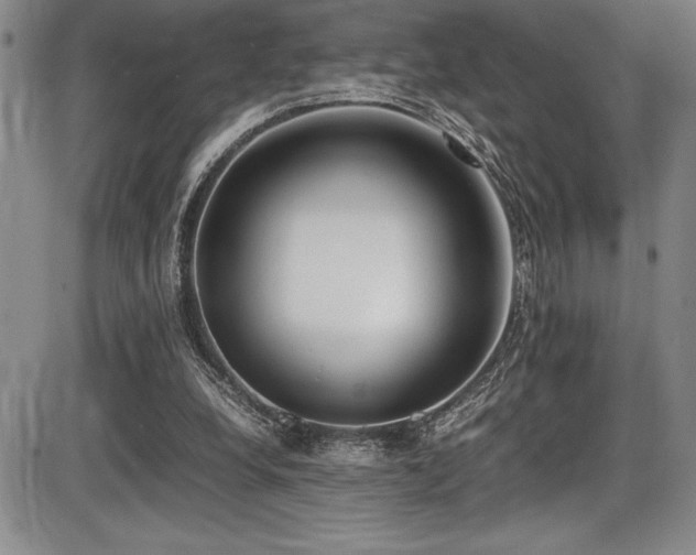 X0000086240248200703291402