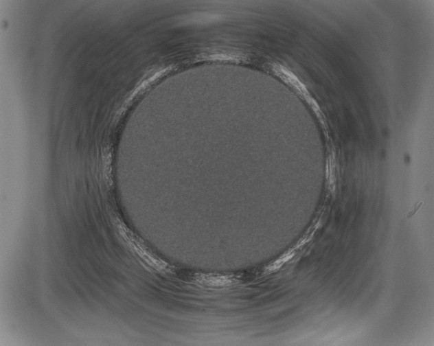 X0000086240249200703291403