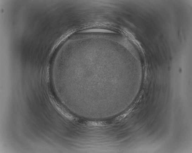 X0000086240250200703291403