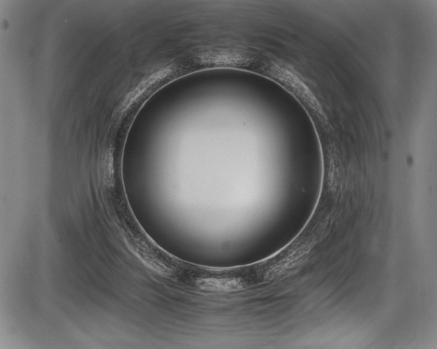 X0000086240251200703291403