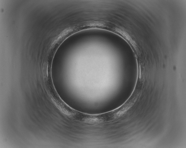 X0000086240253200703291403