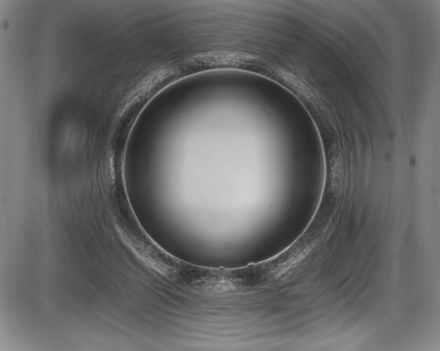 X0000086240254200703291403