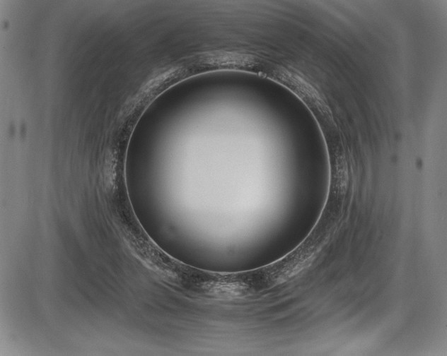 X0000086240255200703291403