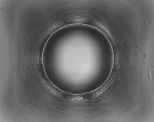 X0000086240257200703291403