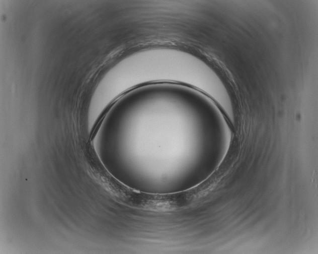 X0000086240260200703291403