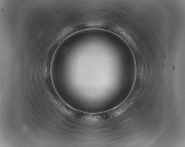 X0000086240261200703291403