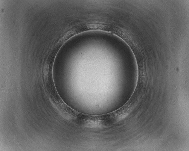 X0000086240263200703291403