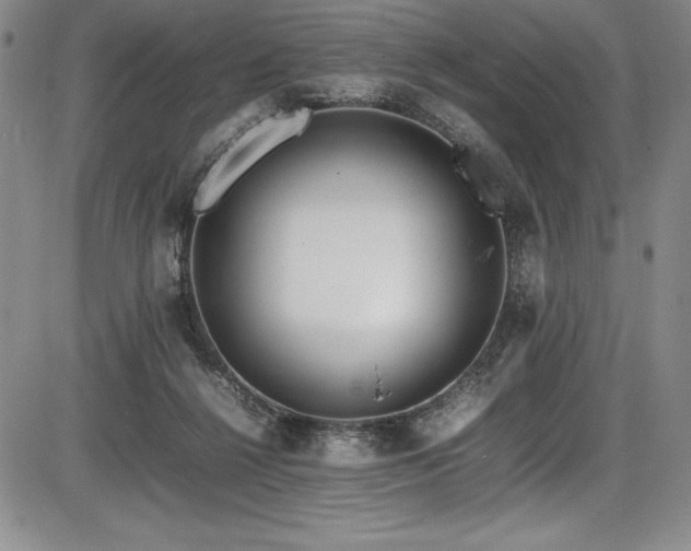 X0000086240264200703291403