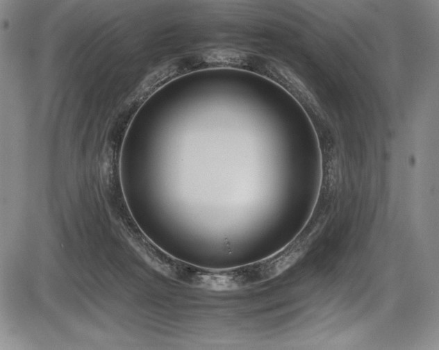 X0000086240265200703291403