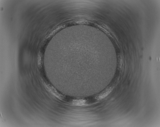 X0000086240266200703291403