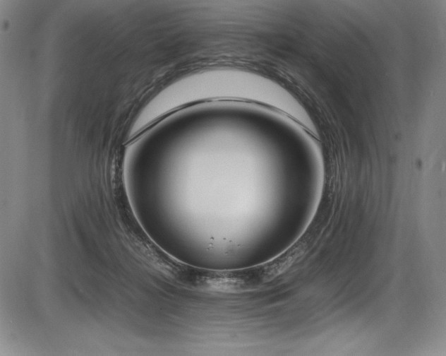 X0000086240268200703291403
