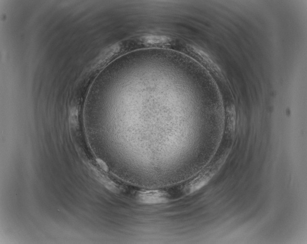 X0000086240269200703291403