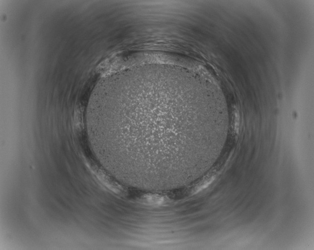 X0000086240272200703291403