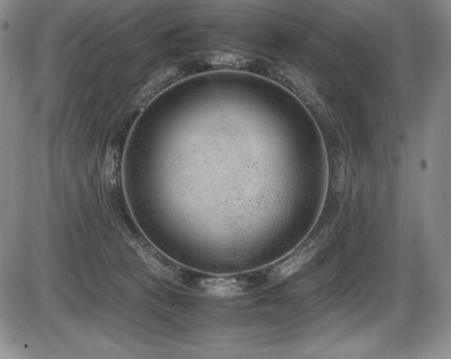 X0000086240273200703291403