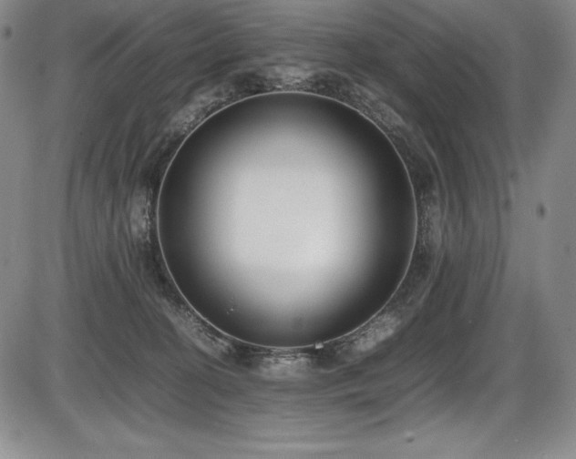 X0000086240274200703291403