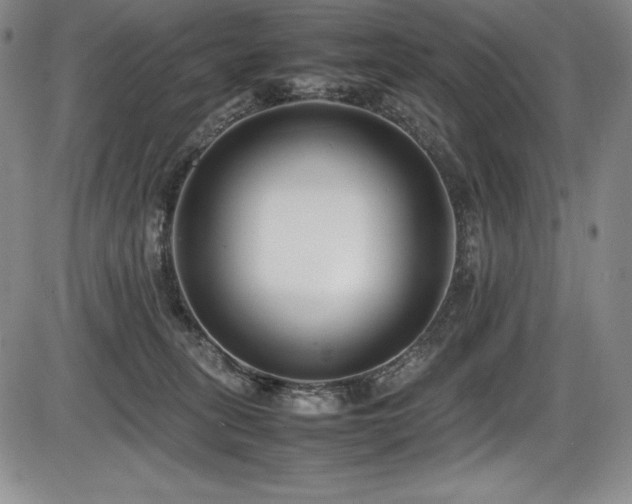 X0000086240275200703291403