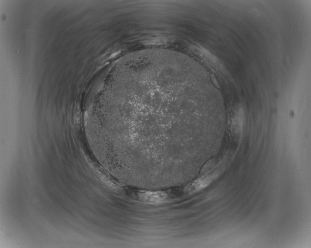 X0000086240277200703291403