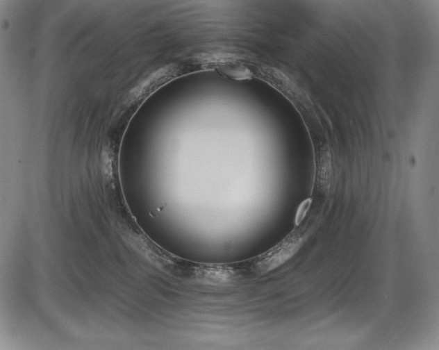 X0000086240282200703291403