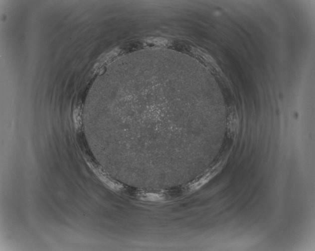 X0000086240285200703291403