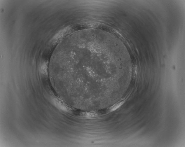 X0000086240286200703291403
