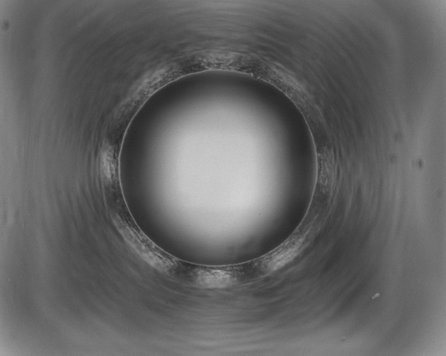 X0000086240287200703291403