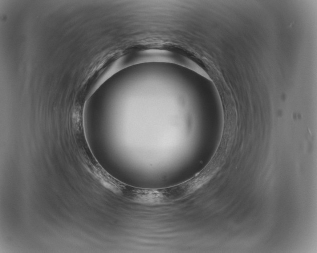 X0000086240288200703291403