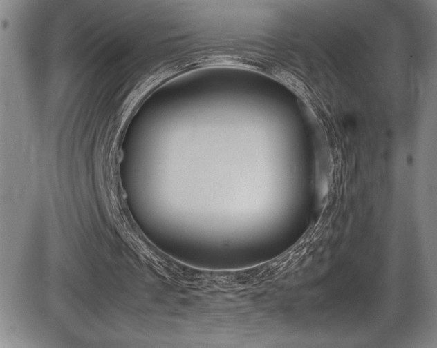 X0000086240289200703291402