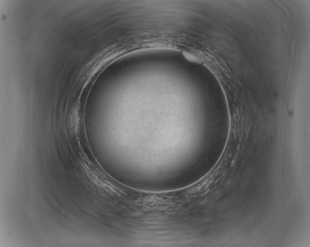 X0000086240290200703291402