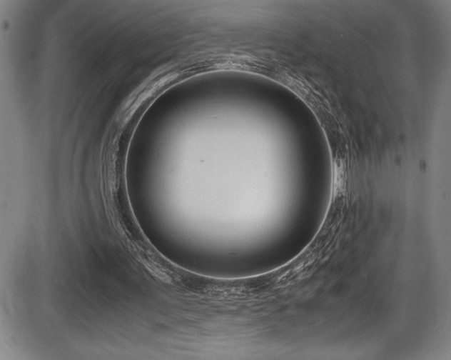 X0000086240291200703291402