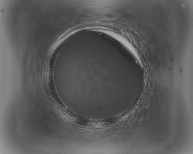 X0000086240295200703291402