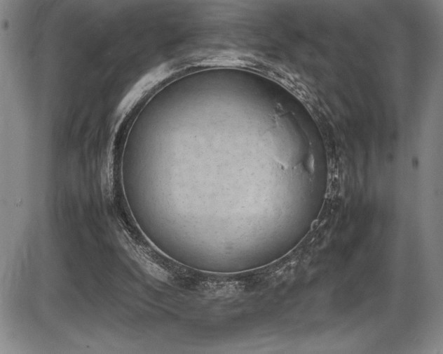 X0000086240296200703291402