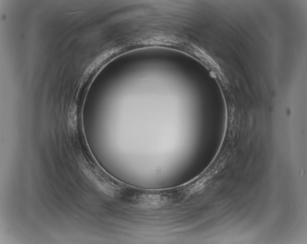 X0000086240298200703291402