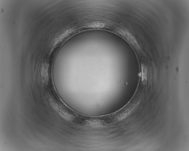 X0000086240300200703291402