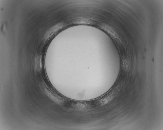 X0000086240302200703291402