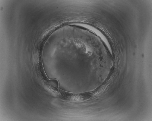 X0000086240303200703291402