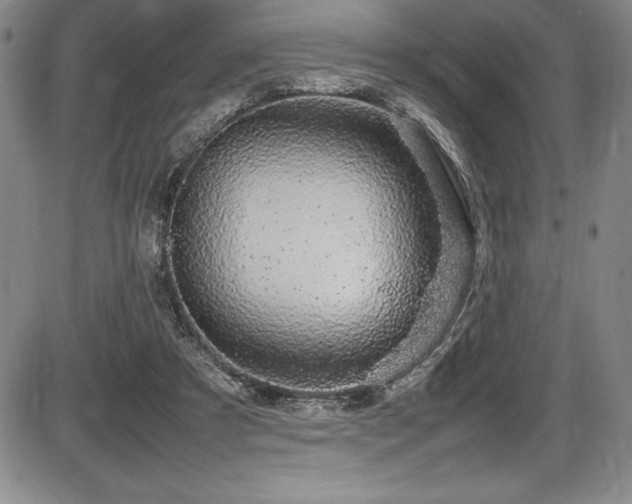 X0000086240305200703291402