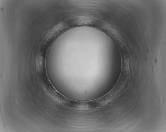 X0000086240308200703291402