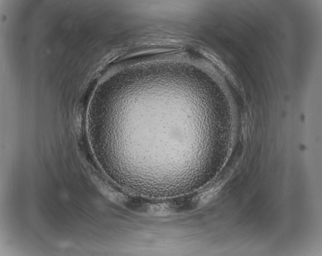 X0000086240309200703291402