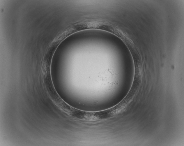 X0000086240311200703291402