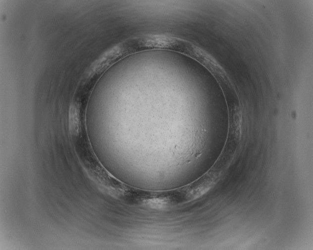 X0000086240312200703291402