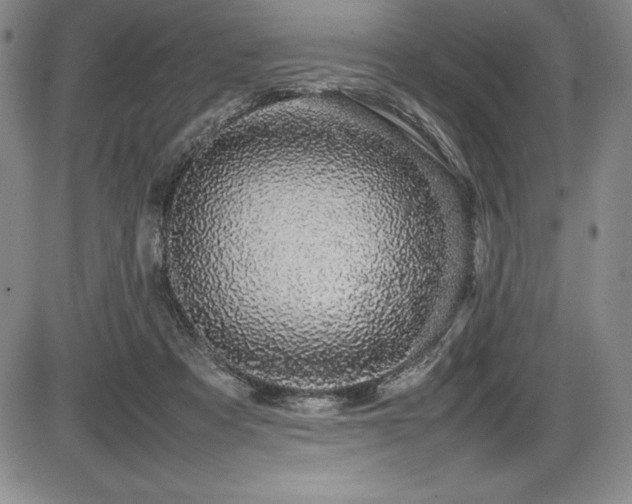 X0000086240313200703291402